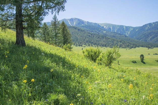 Scenic mountain landscape on spring day