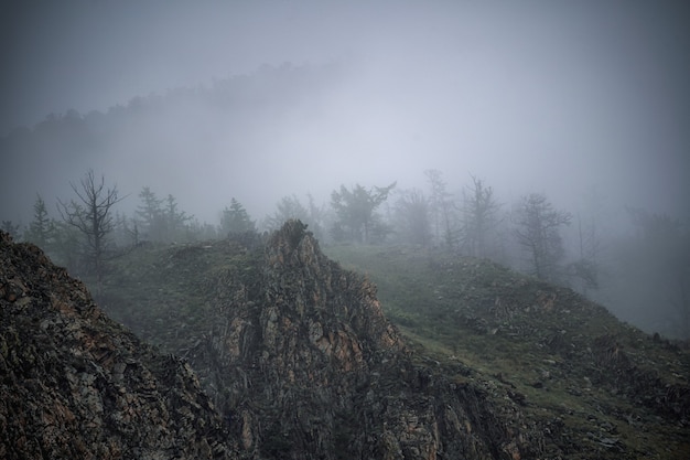 Scenic mountain landscape view on the black forest germany covered in fog colorful travel background