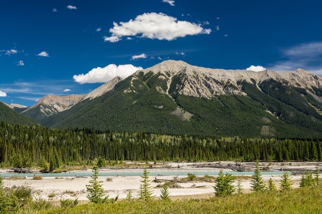 Photo scenic mountain views of the kootenay river, kootenay national park, bc canada