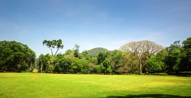 Scenic nature anb blue sky, Ceylon. Landscape of Sri Lanka