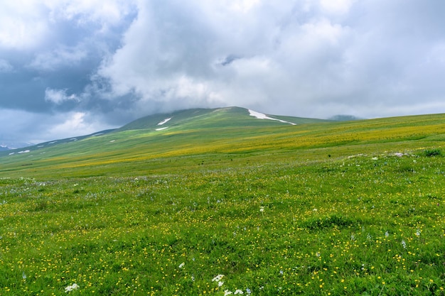 아름다운 은 날의 배경에는 꽃이 피는 초원과 눈 인 알파인 산꼭대기와 함께 이한 언덕 풍경입니다.