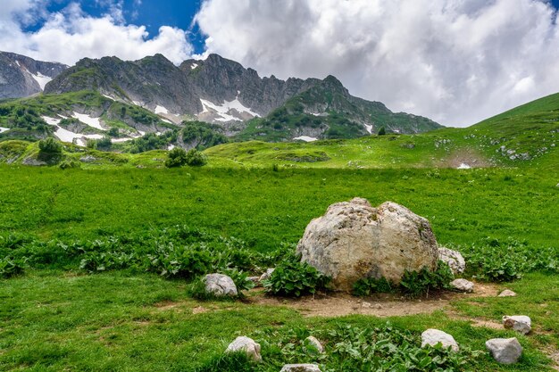 写真 麗な晴れた日の背景に花がく草原と雪に覆われたアルプス山頂の景色