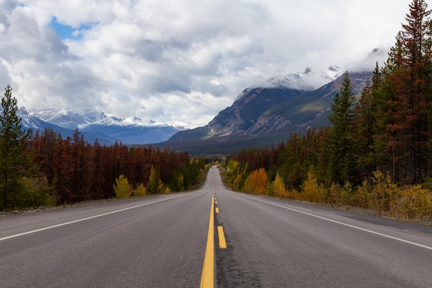 Scenic road in the Canadian Rockies during Fall Season