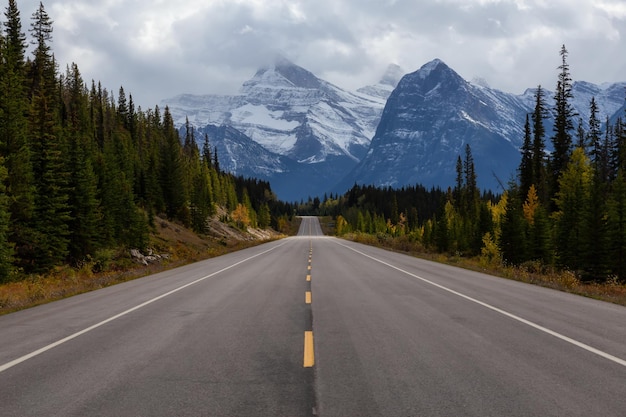 Scenic road in the Canadian Rockies during Fall Season