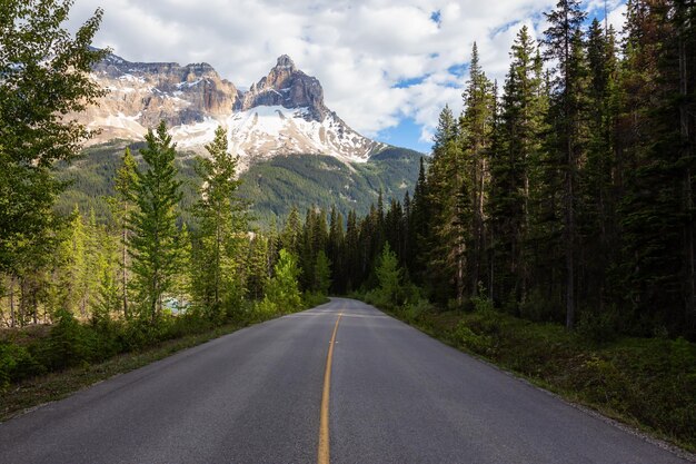 Scenic road in the Canadian Rockies during a vibrant sunny summer day