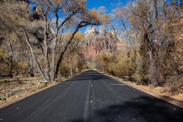 Scenic Road in Canyons Zion National Park Utah