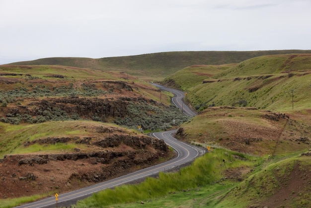 Scenic road in the countryside by green farm fields