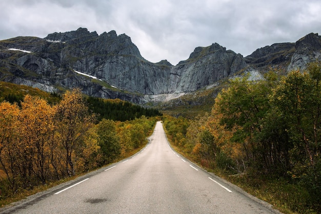 晴れた秋の日にノルウェーのロフォーテン島の風光明媚な道路