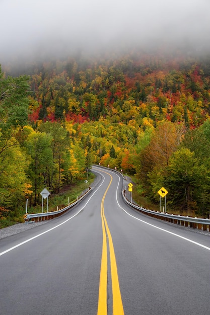 Scenic road in the mountains surrounded by vibrant fall color trees