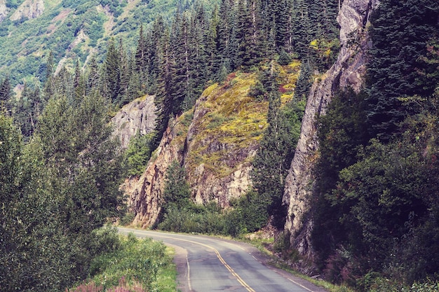 山の風光明媚な道路