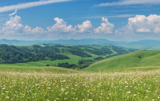 Scenic rural landscape with flowering meadows and blue sky