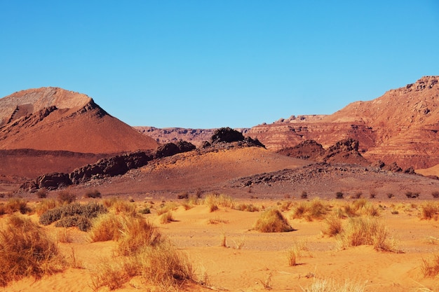 Живописные песчаные дюны в пустыне