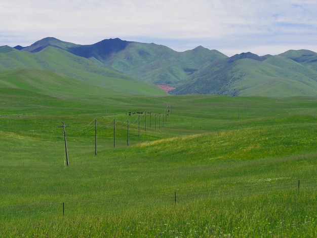 Фото Живописные пейзажи, луга, горы и прекрасное небо