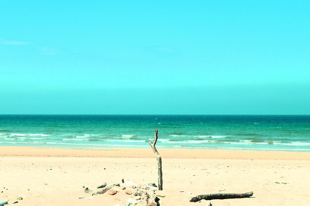 Foto scena panoramica di una spiaggia tranquilla