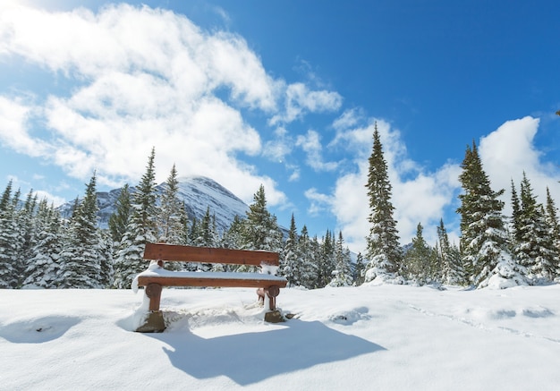 빙하 국립 공원, 몬태나, 미국에서 겨울에 경치 좋은 눈 덮인 봉우리.