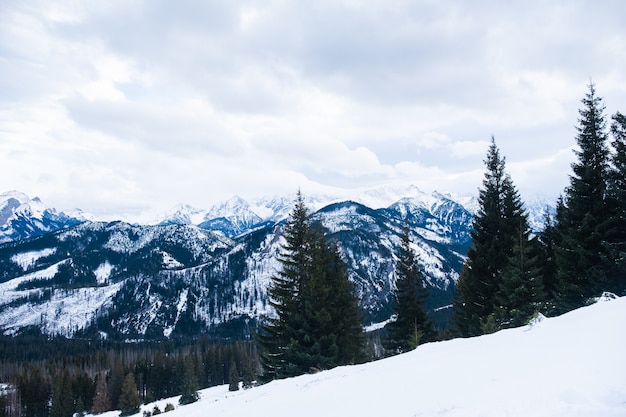 Scenic of snowcapped mountain landscape on a cloudy day in winter tatra mountains