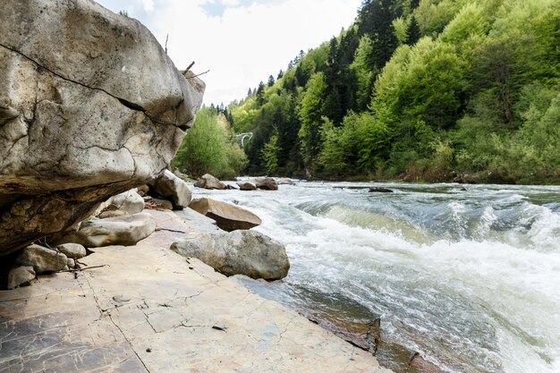 Scenic spring view of fast flowing Prut river near Yaremche in Carpathian region in Ukraine Travel destinations and nature resorts in Ukraine