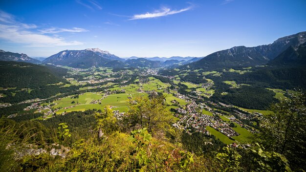 A scenic summer landscape