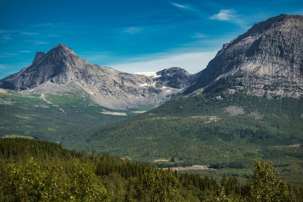 경치 좋은 여름 Nordland 카운티 노르웨이