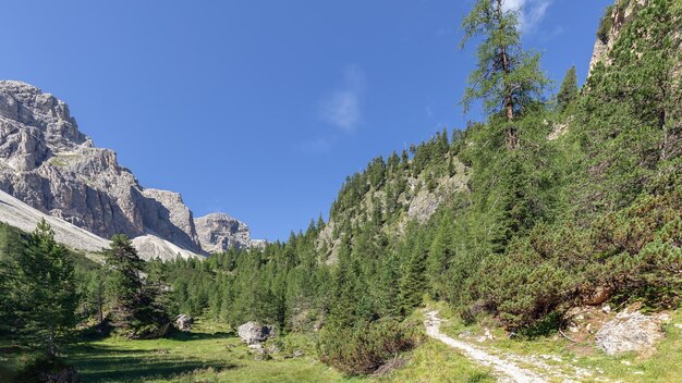 晴れた日にイタリアアルプスのドロミテ峡谷の風光明媚なトレイル（自然公園プエツオドル）