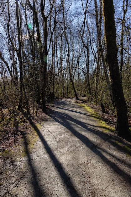 Scenic Trail in een stadspark met groene bomen tijdens zonnige winterdag