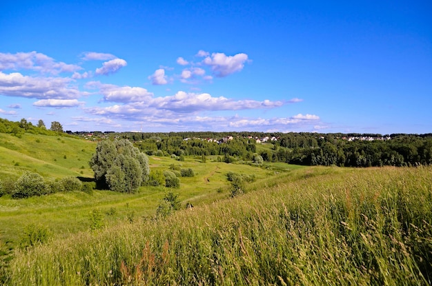 Foto vista panoramica di un campo agricolo contro il cielo blu