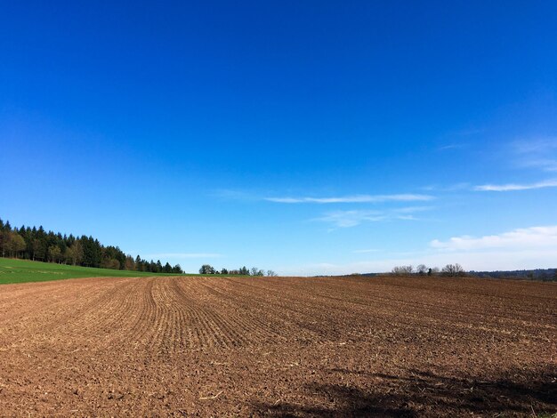 Scenic view of agricultural field against blue sky