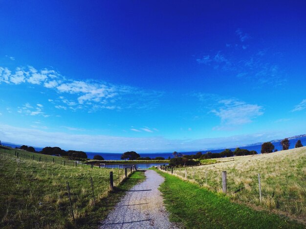 Scenic view of agricultural field against blue sky