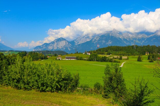 Scenic view of agricultural field against blue sky