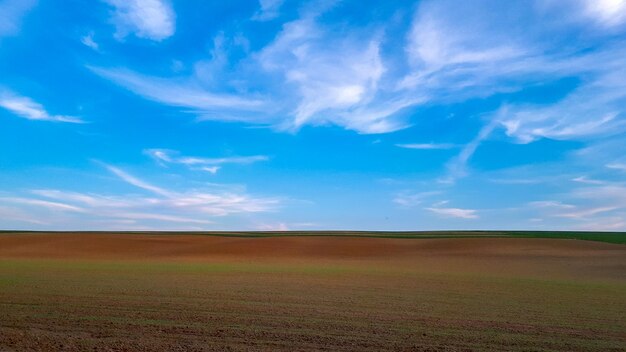 Scenic view of agricultural field against blue sky