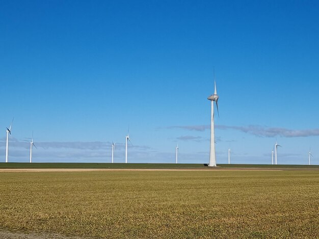 Scenic view of agricultural field against blue sky