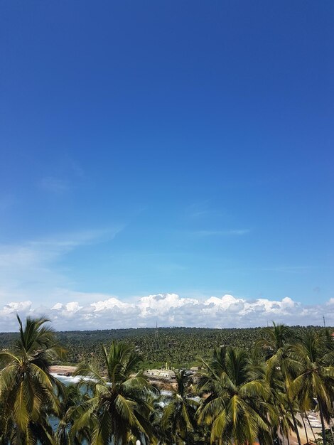 Photo scenic view of agricultural field against blue sky