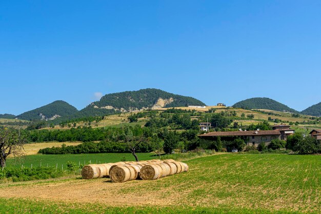 Scenic view of agricultural field against clear blue sky