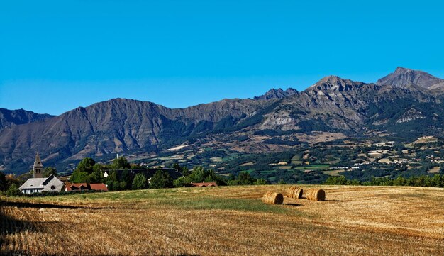 Scenic view of agricultural field against clear blue sky