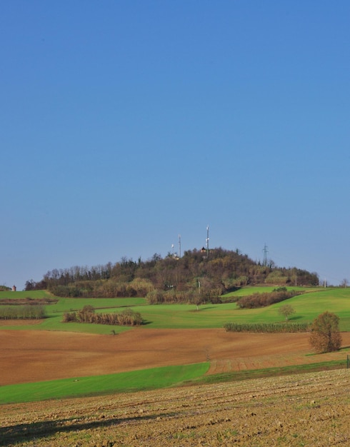 Scenic view of agricultural field against clear blue sky