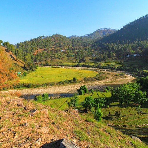 Photo scenic view of agricultural field against clear sky