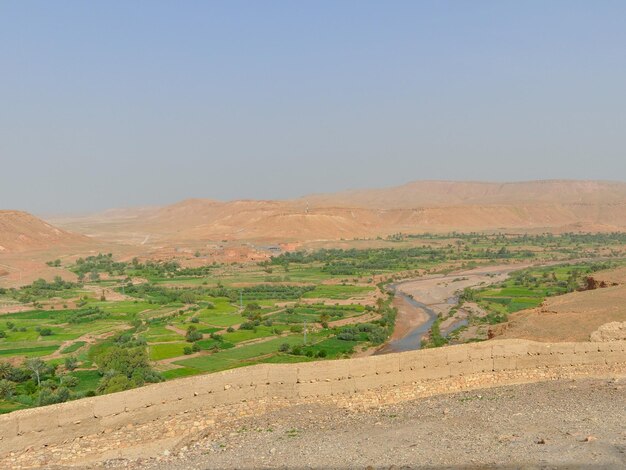 Scenic view of agricultural field against clear sky