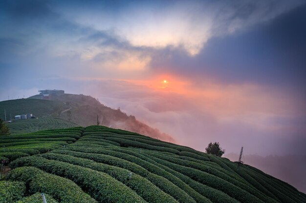 Photo scenic view of agricultural field against cloudy sky during sunset