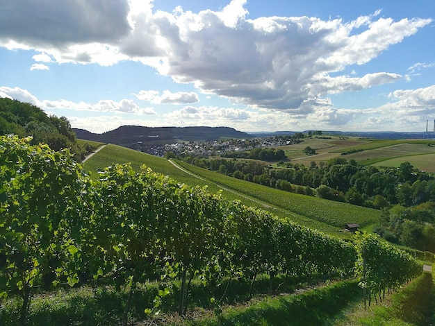 Foto vista panoramica di un campo agricolo contro un cielo nuvoloso