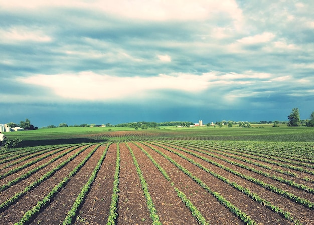 Photo scenic view of agricultural field against cloudy sky