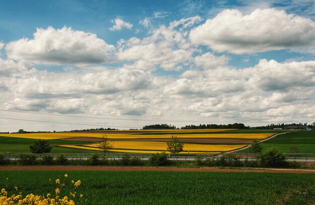 Photo scenic view of agricultural field against cloudy sky