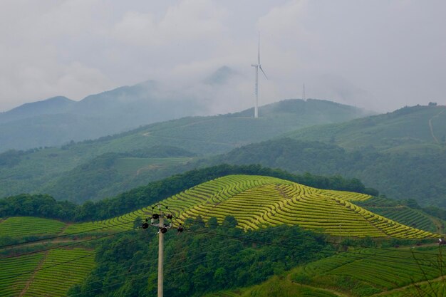 Photo scenic view of agricultural field against mountain