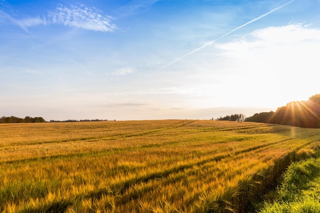 Photo scenic view of agricultural field against sky during sunset