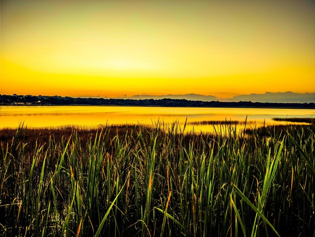 Scenic view of agricultural field against sky during sunset