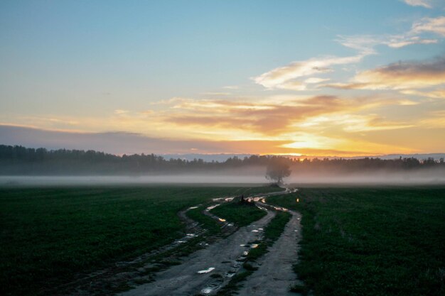 Scenic view of agricultural field against sky during sunset