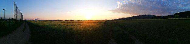 Photo scenic view of agricultural field against sky during sunset