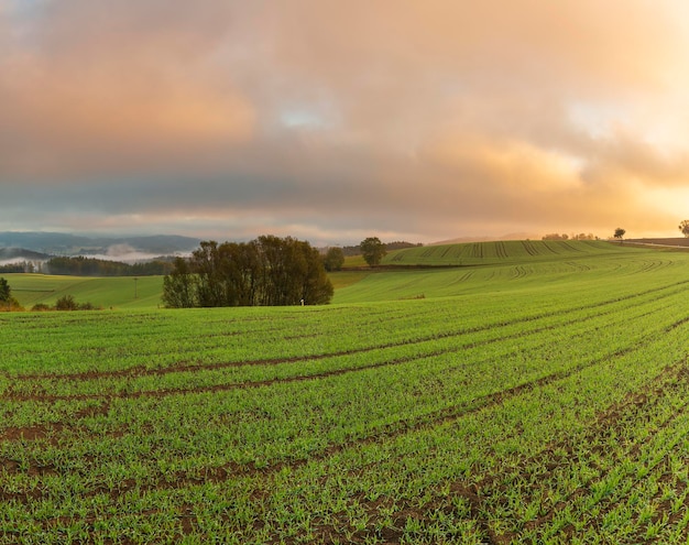 Foto vista panoramica di un campo agricolo contro il cielo durante il tramonto