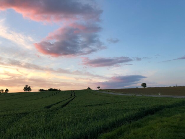 Photo scenic view of agricultural field against sky during sunset