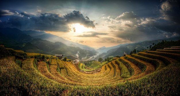 scenic view of agricultural field against sky during sunset