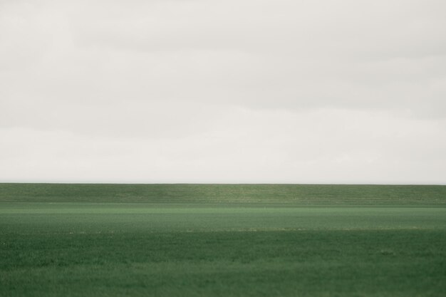 Photo scenic view of agricultural field against sky